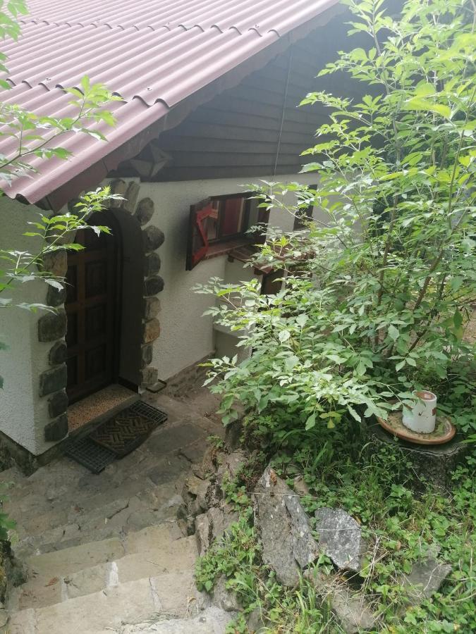 Chalet Le Tyrolien, Au Coeur Du Boreon Saint-Martin-Vesubie Luaran gambar
