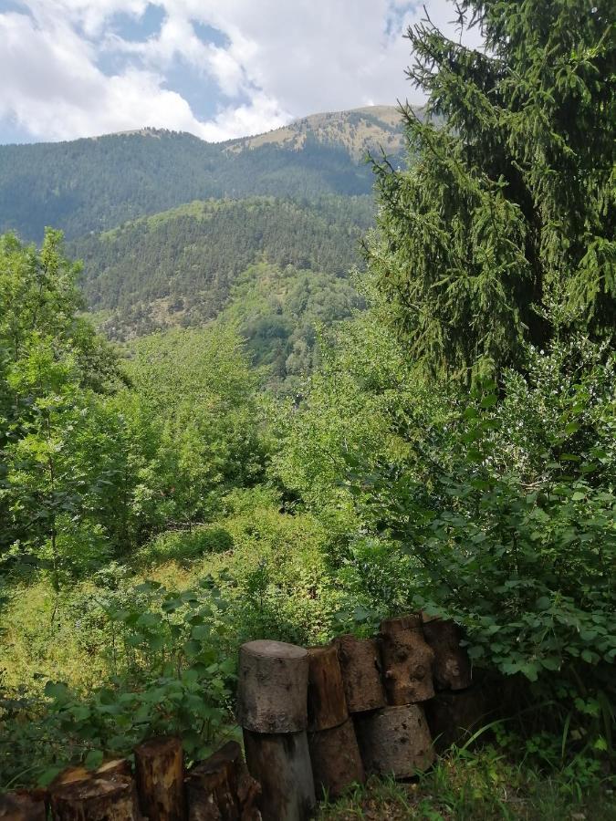 Chalet Le Tyrolien, Au Coeur Du Boreon Saint-Martin-Vesubie Luaran gambar